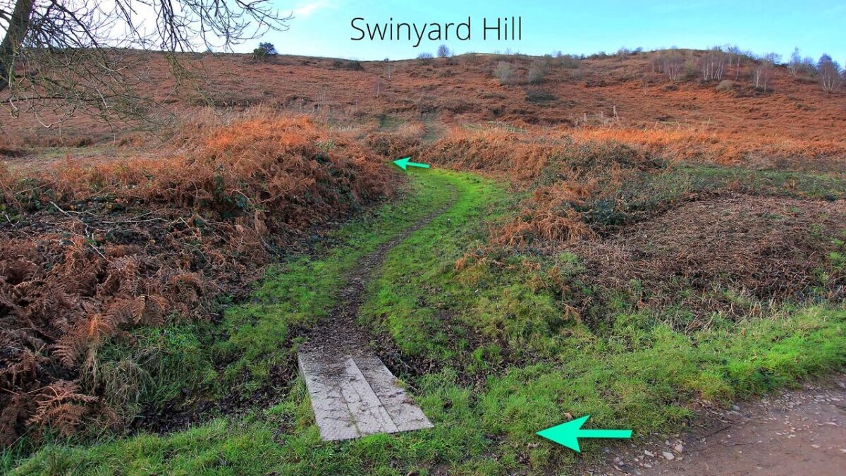British Camp to Swinyard Hill Walk