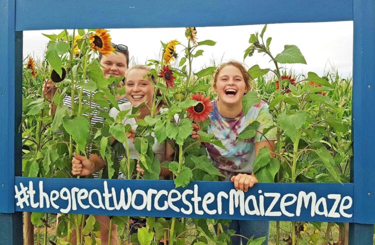 Great Worcester Maize Maze