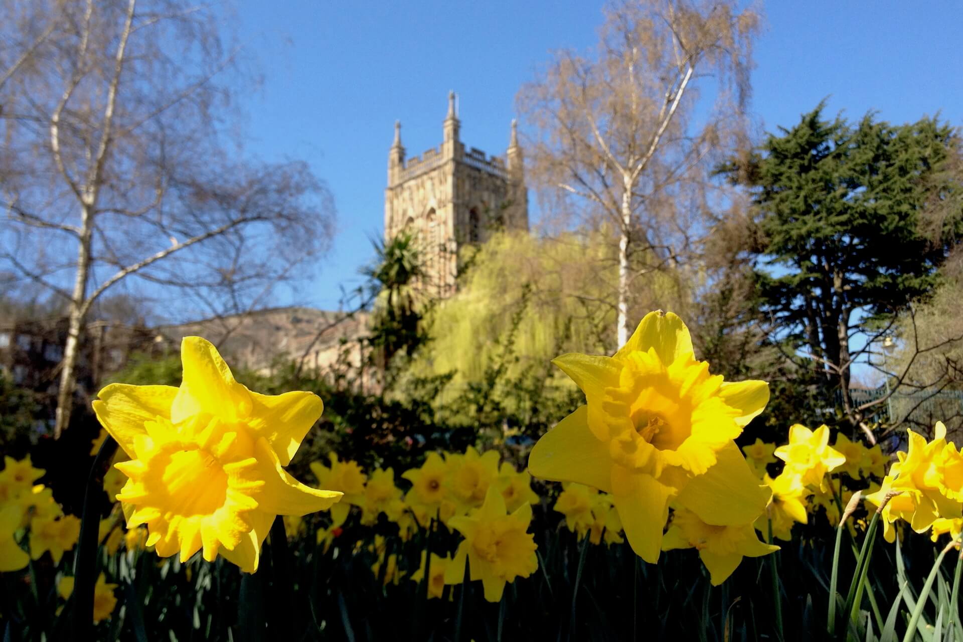 Spring in Priory Park