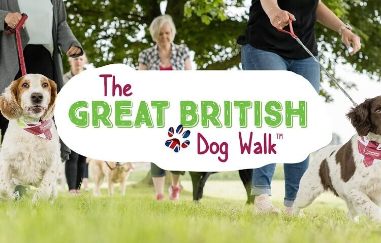Great British Dog Walk
