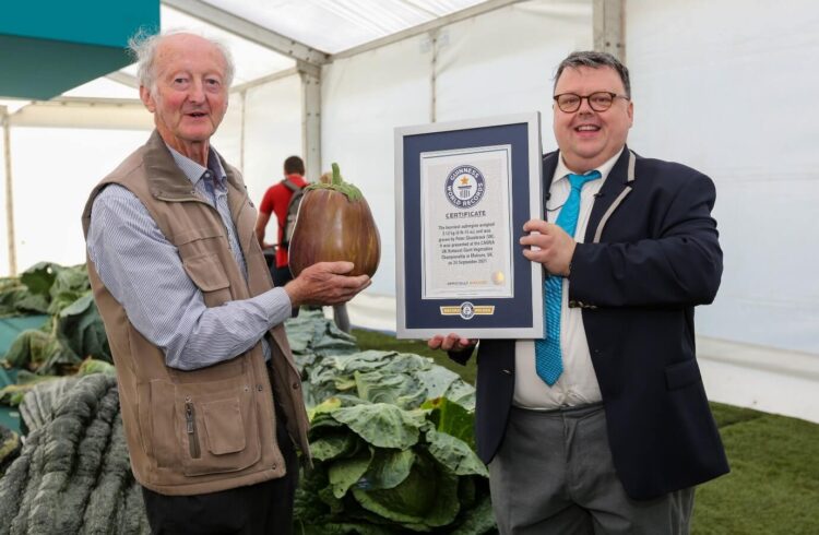 Guiness Awards at Malvern Show