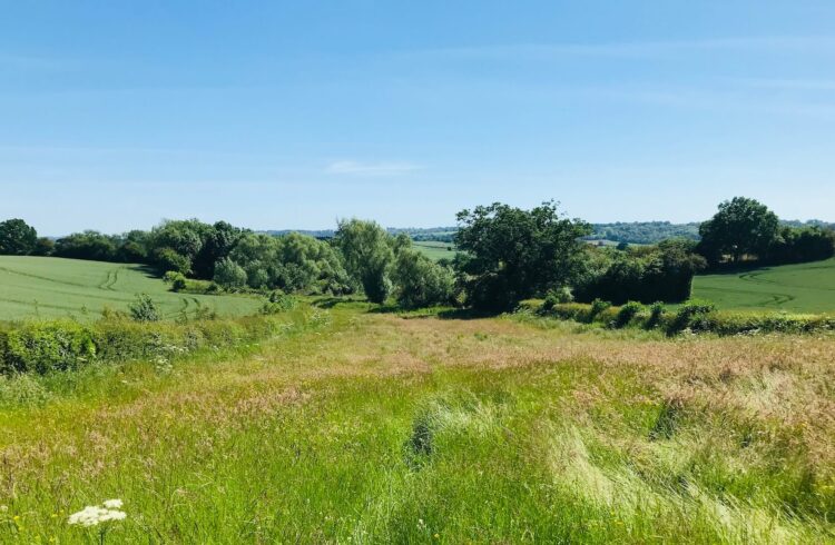 View of fields on the Tenbury & Kyrewood Walk