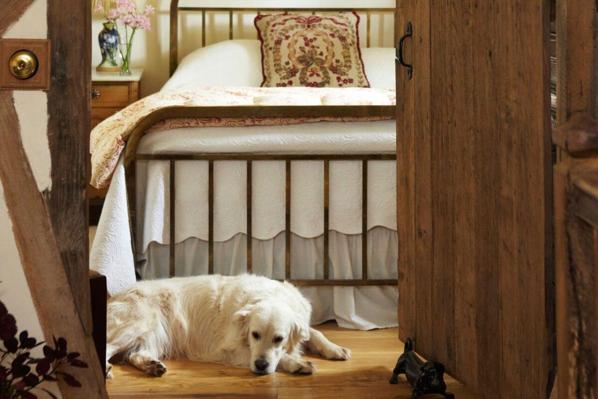 A cottage bedroom with a white dog lying at the foot of the bed