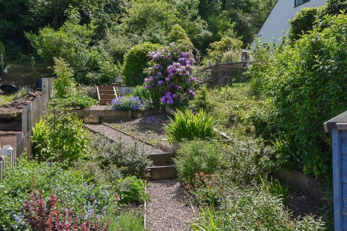 The garden at Old Hollow Cottage with shrubs and flowers