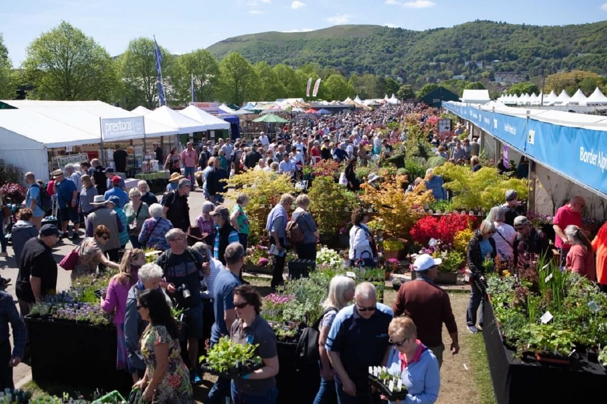 RHS Spring Festival at 3 Counties Shrowground