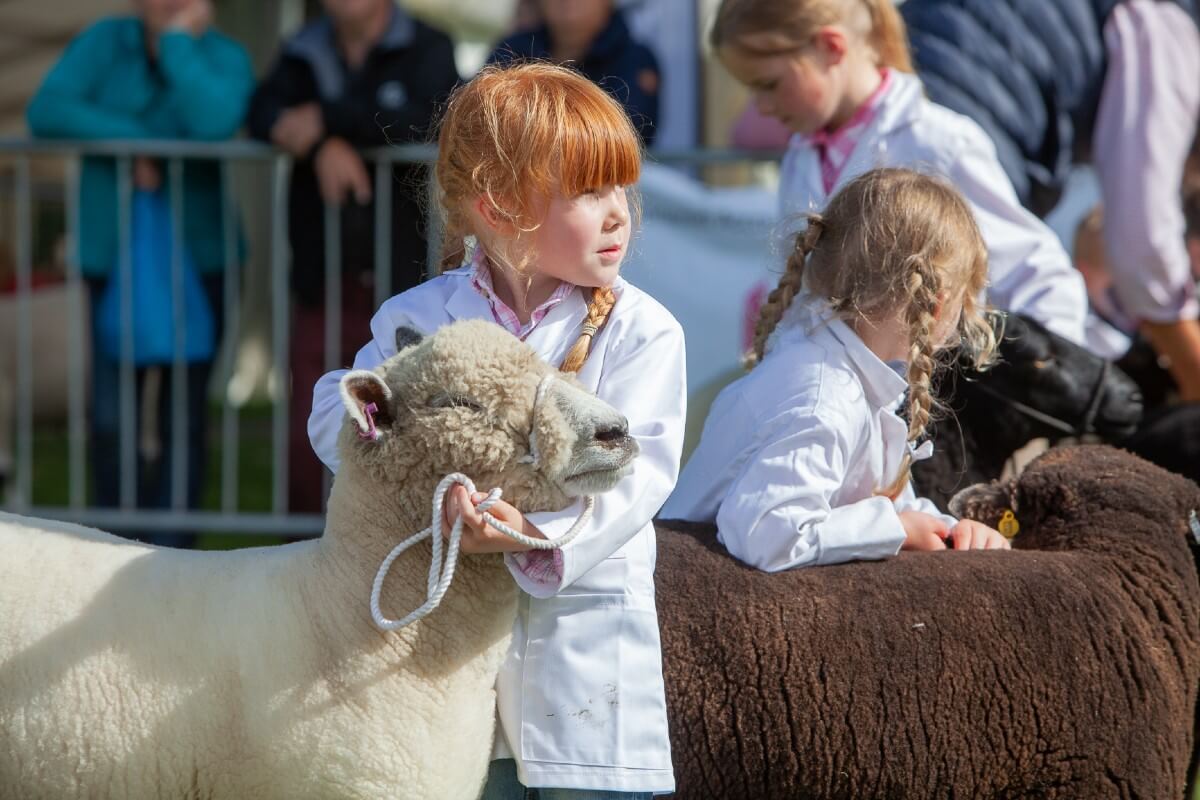 A child hugs a sheep at the Royal Three Counties Show