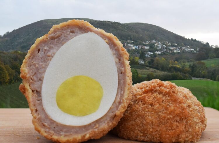 Veg Life Scotch Egg with Malvern Hills in background
