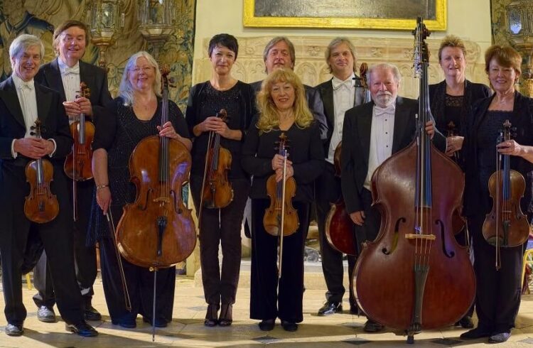 Members of Orchestra Pro Anima