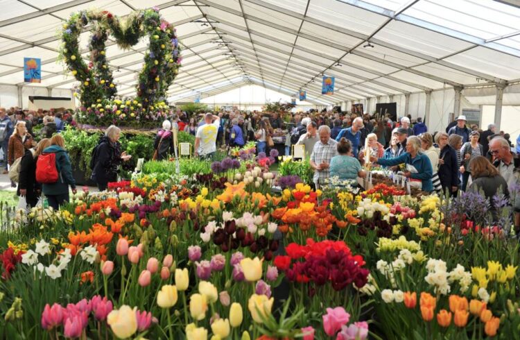 A marquee filled with thousands of flowers
