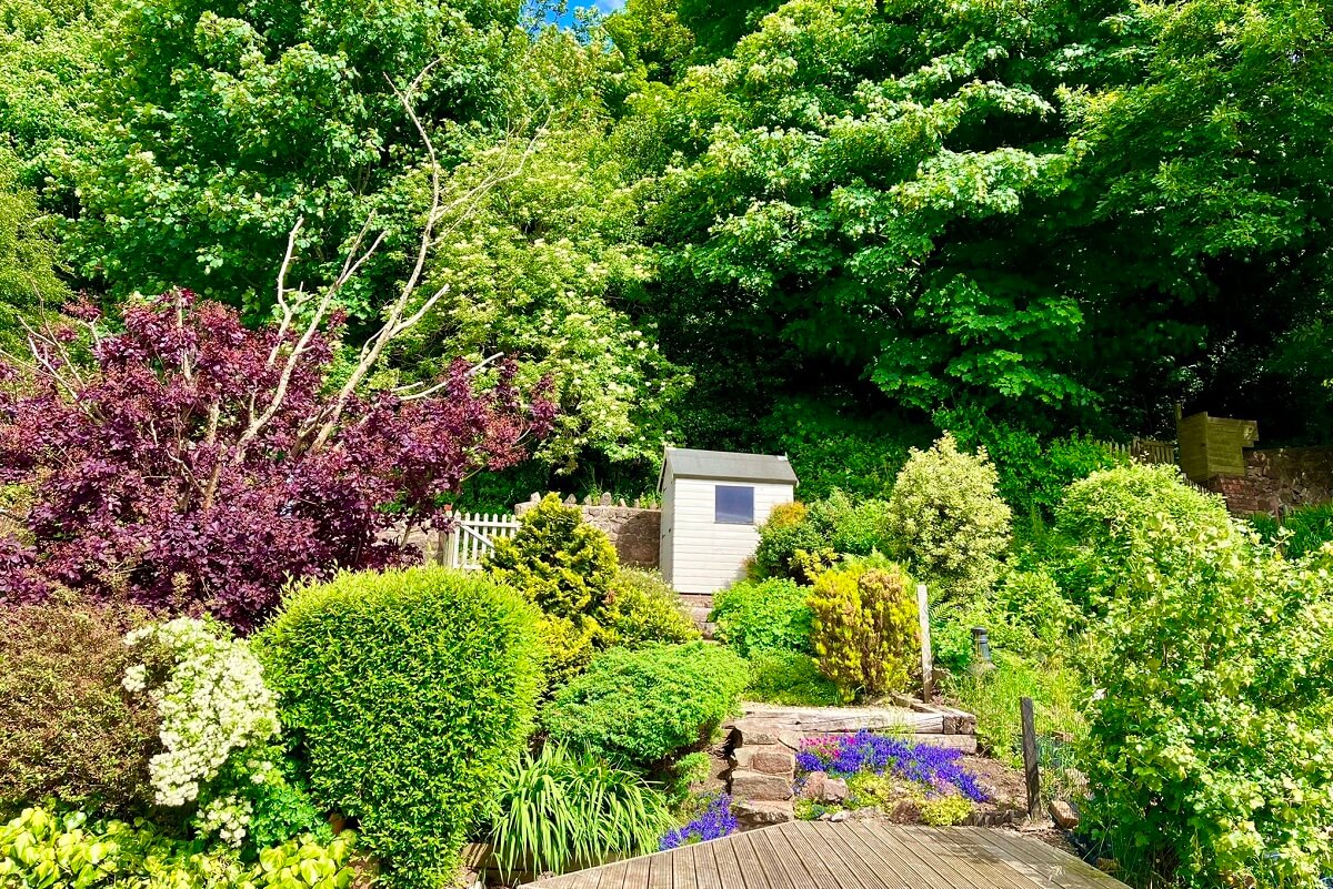 Garden with trees, shrubs and decking