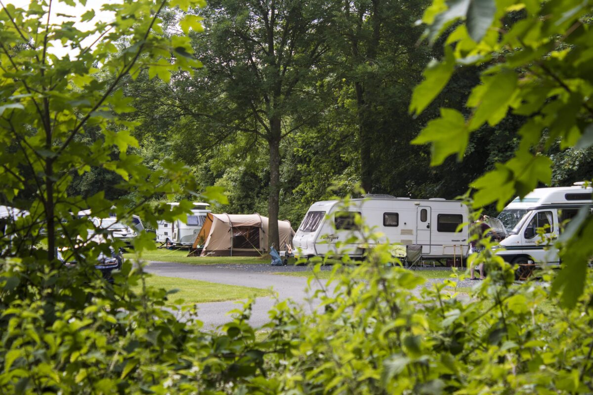 Caravans surrounded by trees