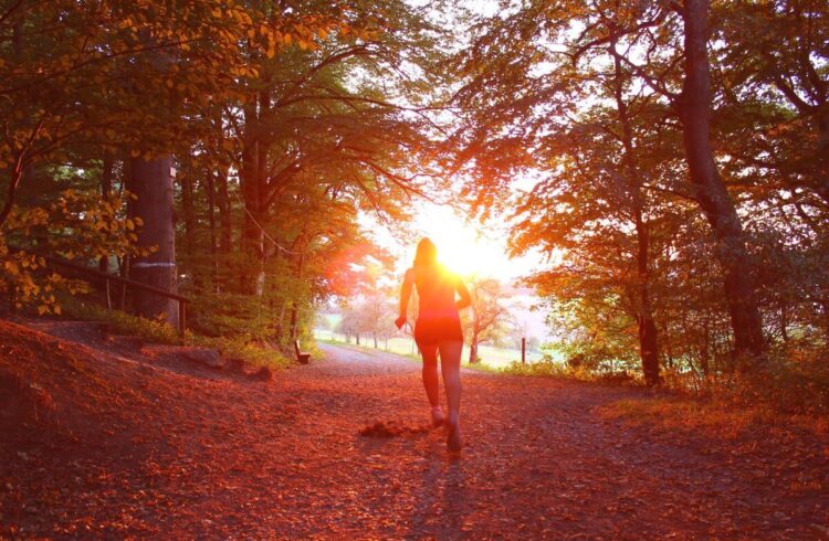 a person running in the woods at sunset