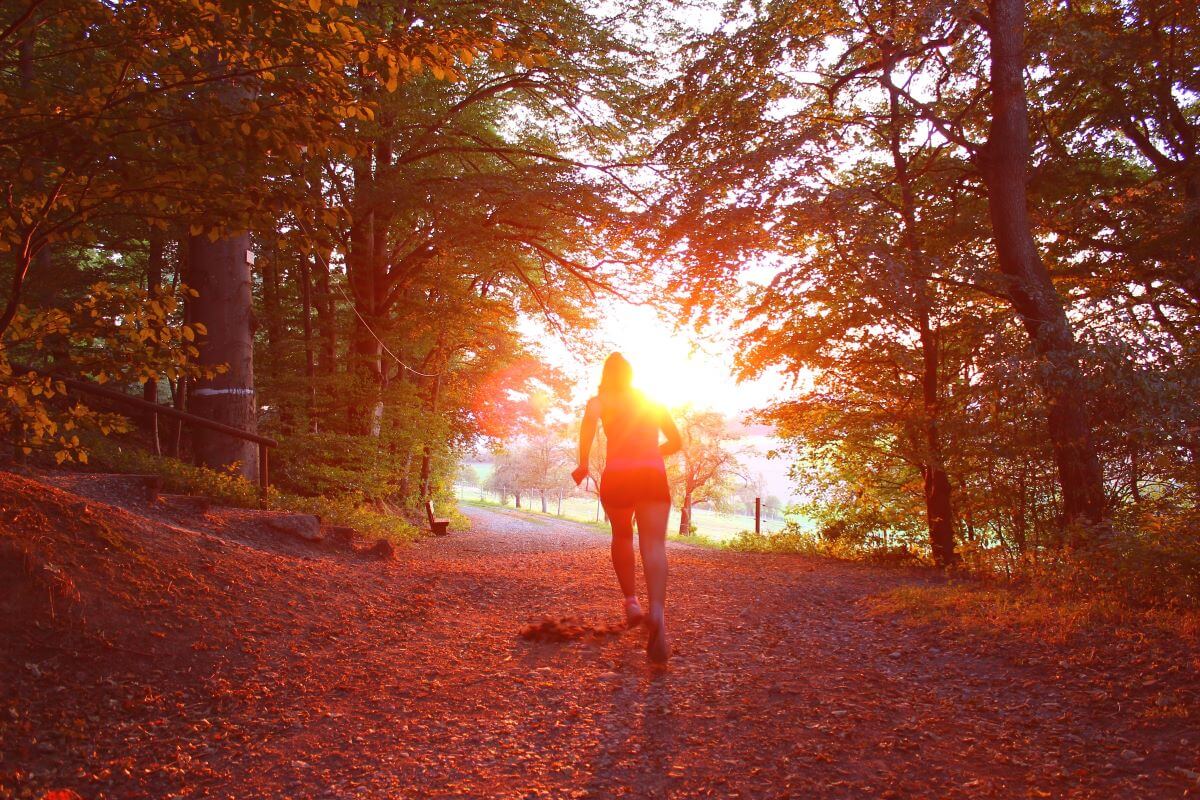 a person running in the woods at sunset