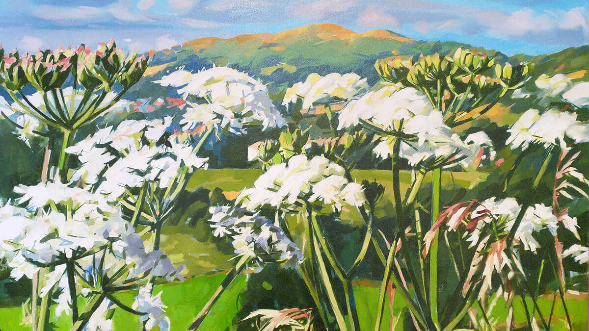Painting of the Malvern Hills profile with cow parsley in the foreground