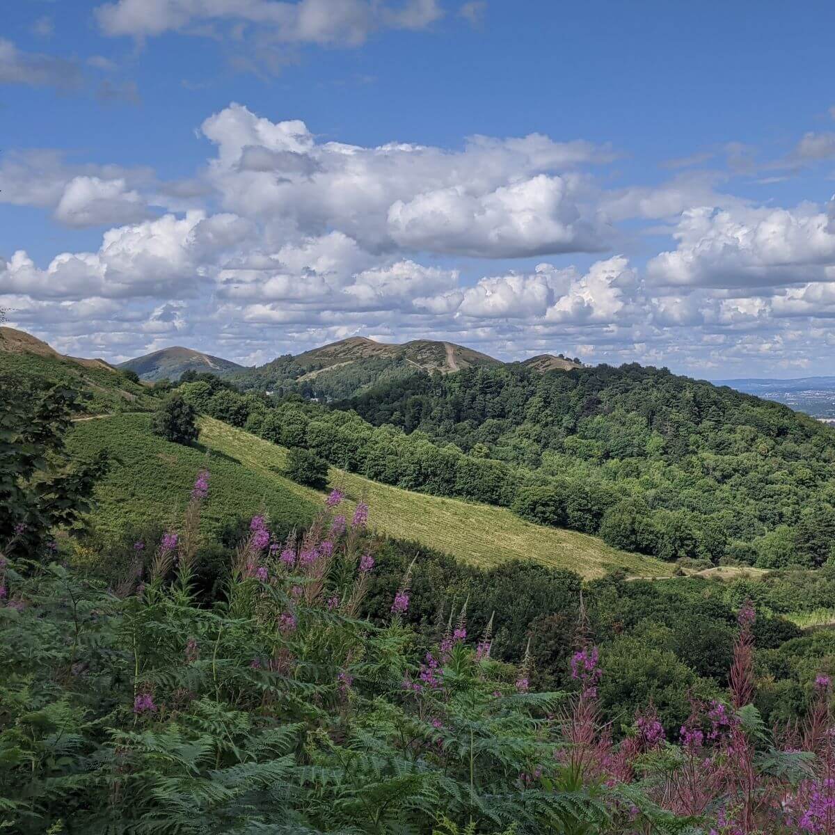 The Malvern Hills ridge in full greenery against blue sky