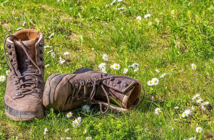 Walking boots on grass with daisies growing
