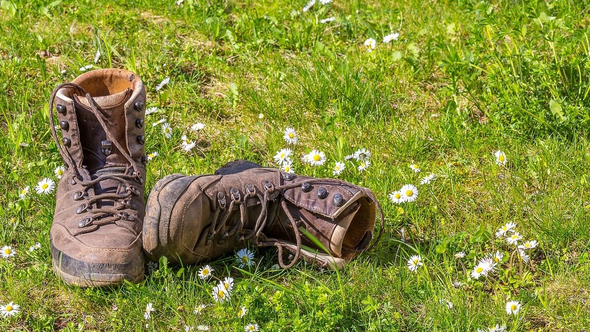 Walking boots on grass with daisies growing