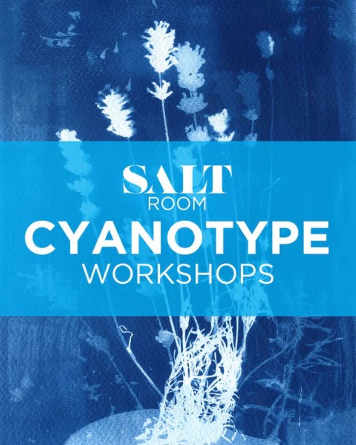 A blue cyanotype print