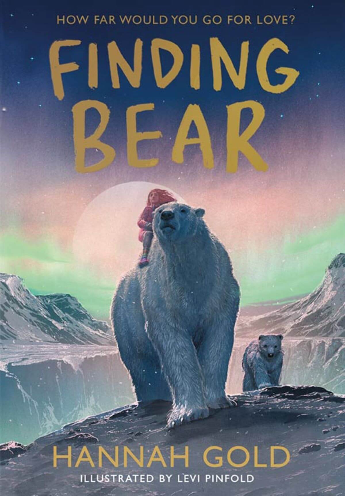 An illustrated children's book cover of a bear carrying a child with the icy northern lights as a backdrop