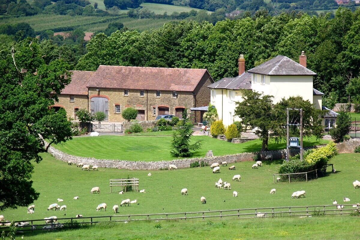 View of sheep grazing in field with house and outbuildings beyond