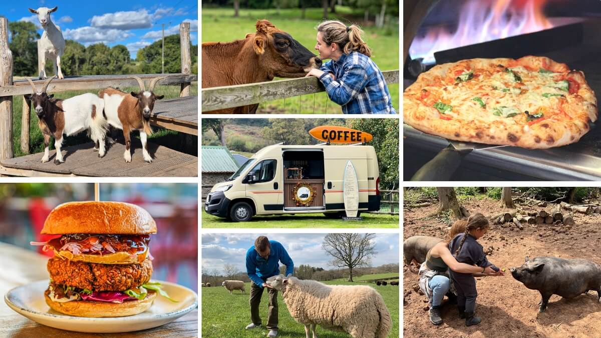 Various images showing food, animals etc at the open day