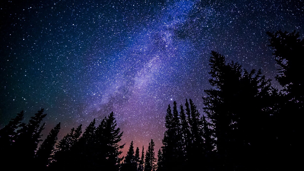 A view of stars in the night sky, above trees