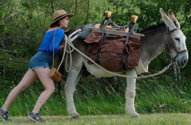 A still from the film showing a woman and a donkey in a field