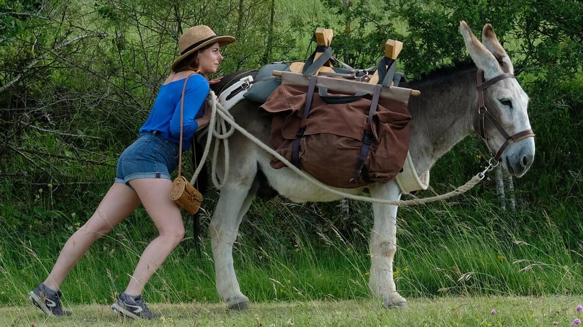 A still from the film showing a woman and a donkey in a field