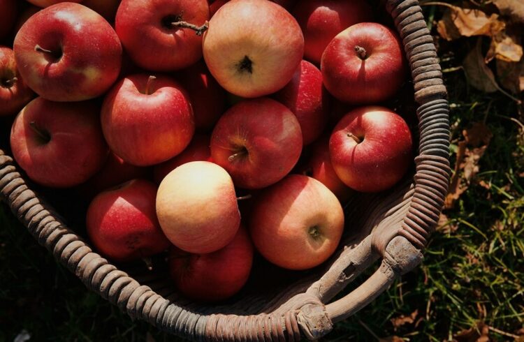 A wicker basket filled with red apples