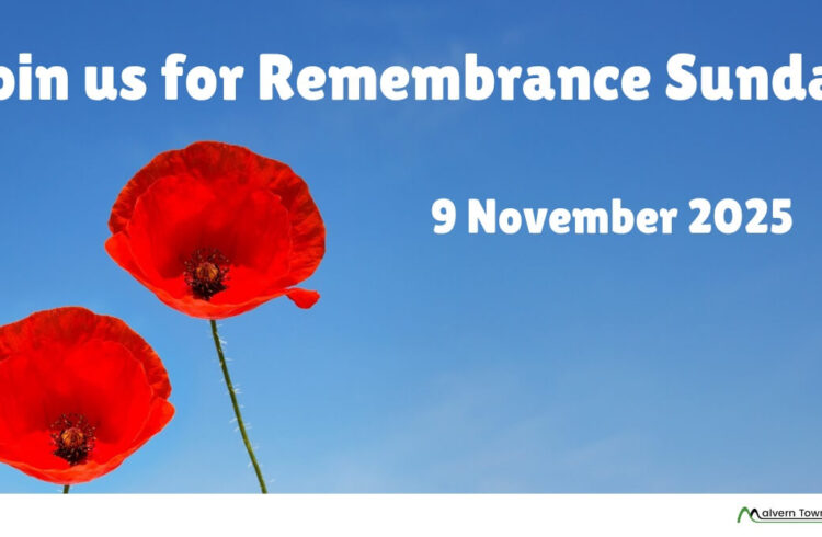Two red poppies against a blue sky with text 'Join us for Remembrance Sunday - 9 November 2025'