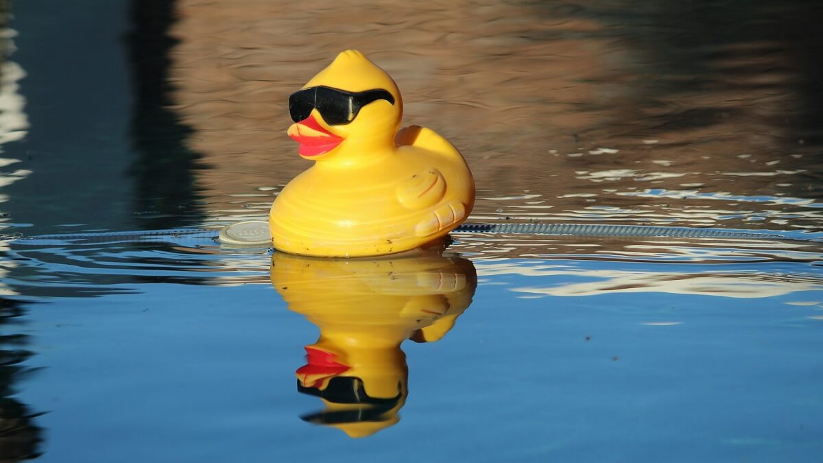 A yellow rubber duck floating on water