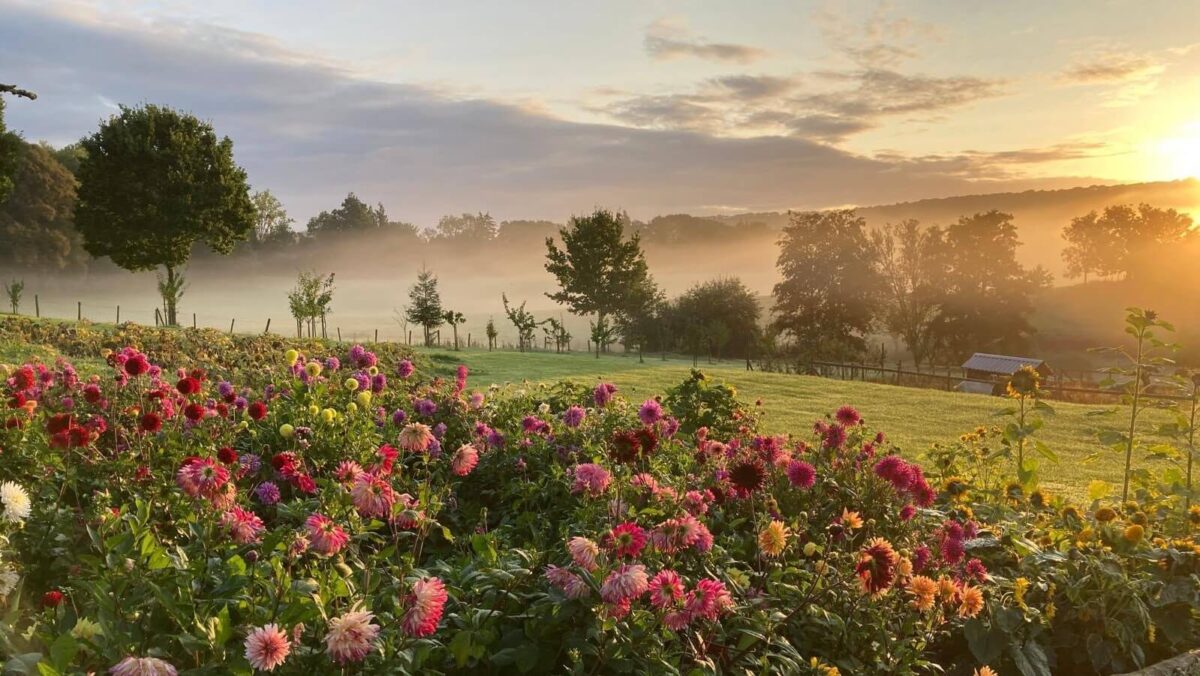 A view over countryside at sunset