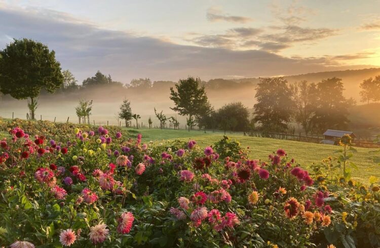 A view over countryside at sunset