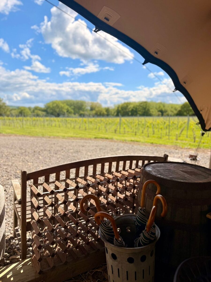 Two Beacons Vineyard view