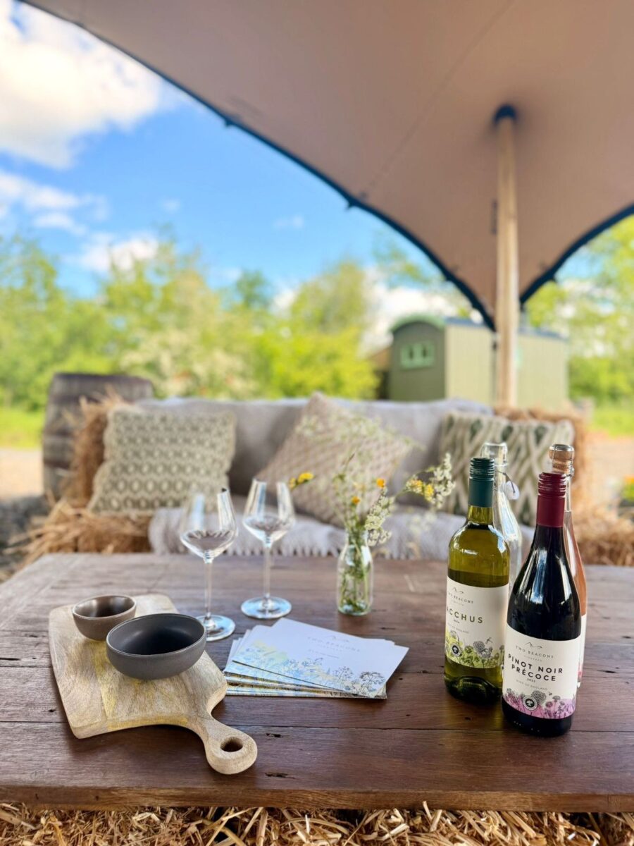 Two Beacons Vineyard visitors