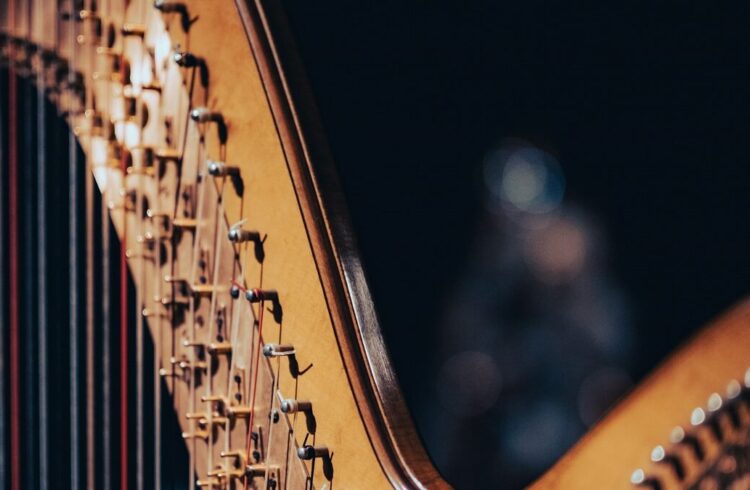 A close-up image of a harp