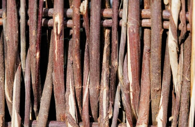 Woven wooden sticks, all of a similar size and colour